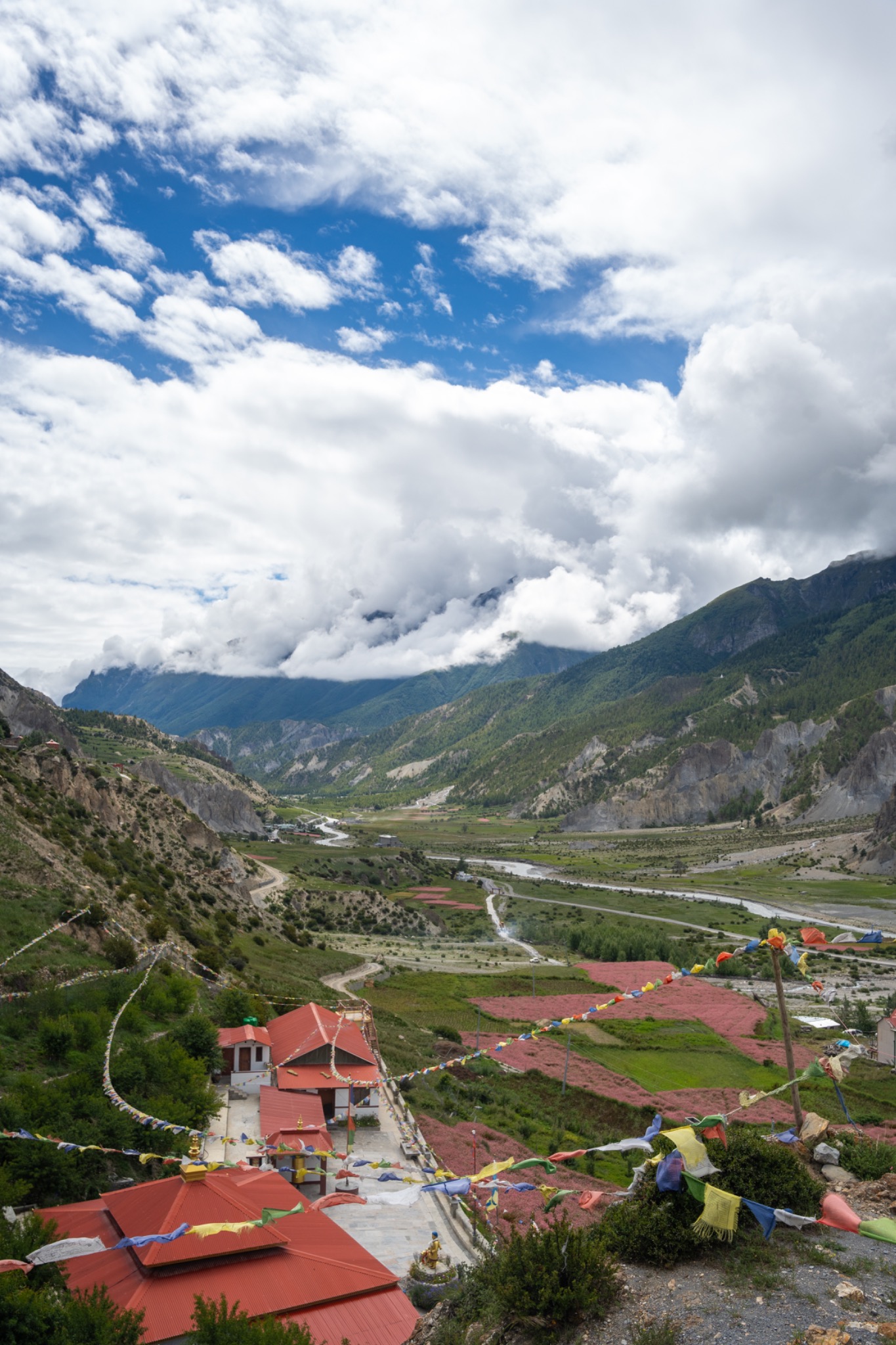 A broad valley and flowering fields seen past colorful prayer flags